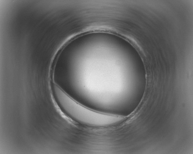 X0000075351038200609080807