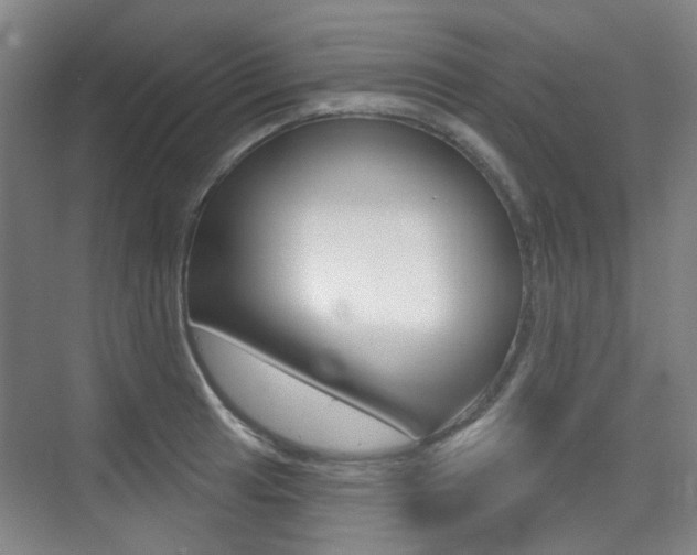 X0000075351041200609080807