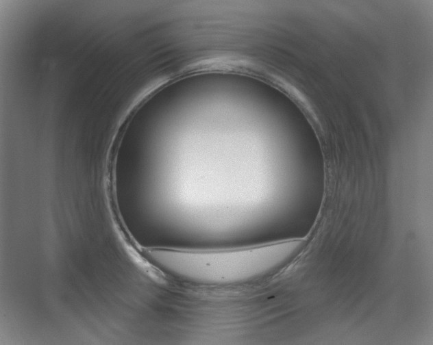 X0000075351042200609080807