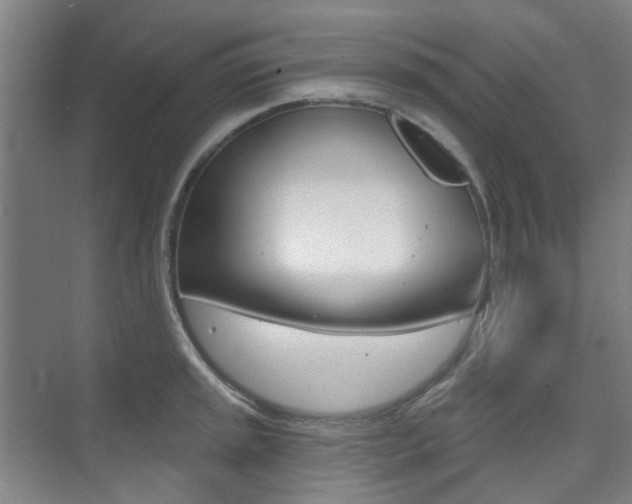 X0000075351045200609080807