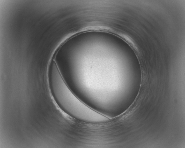 X0000075351046200609080807