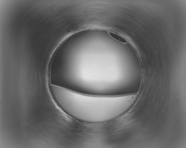 X0000075351048200609080807