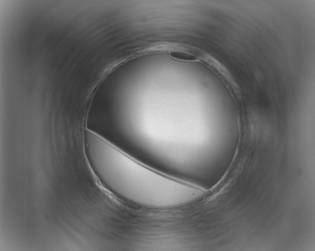X0000075351049200609080807
