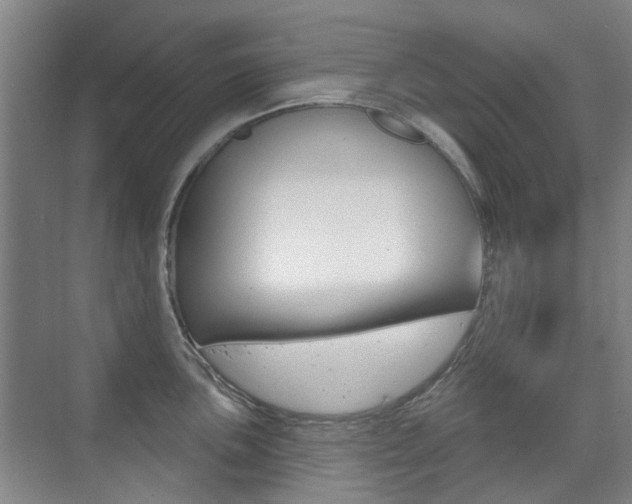 X0000075351051200609080808