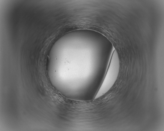 X0000075351057200609080807