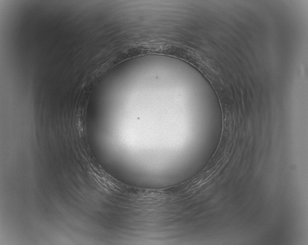 X0000075351058200609080807