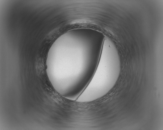 X0000075351062200609080807