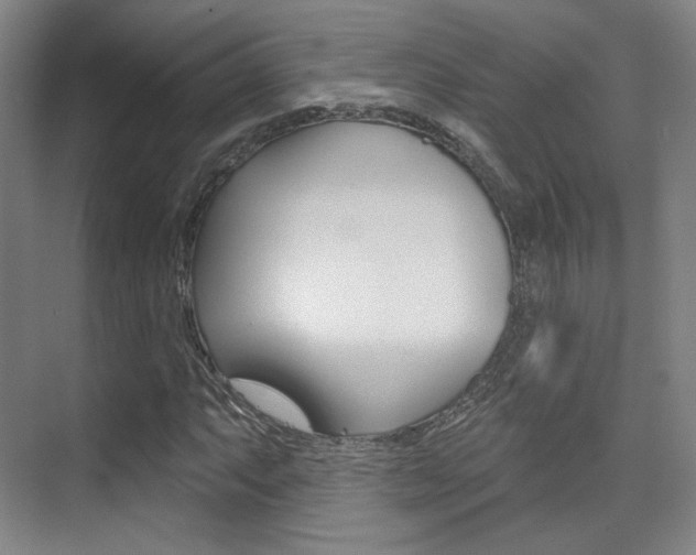 X0000075351063200609080807