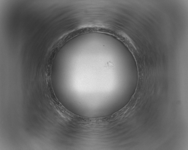 X0000075351064200609080807