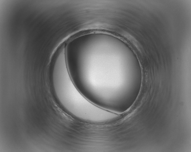 X0000075351069200609080807