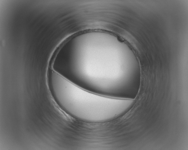 X0000075351076200609080806