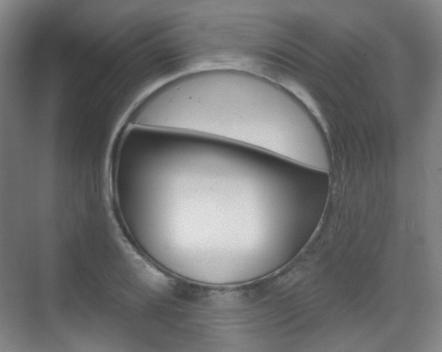 X0000075351080200609080806