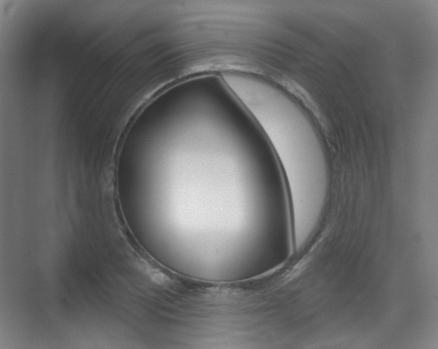 X0000075351081200609080806