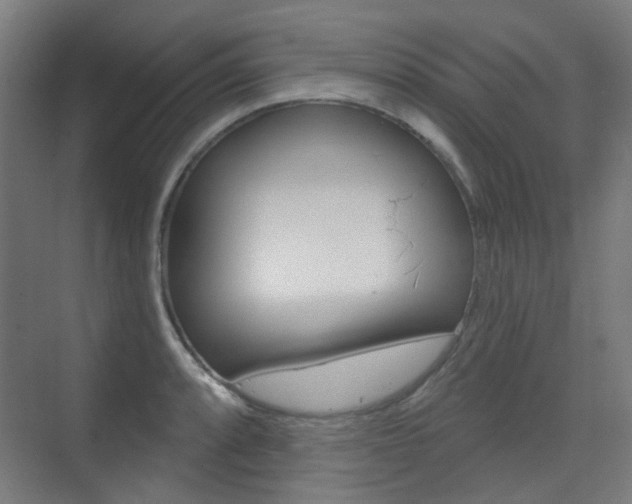 X0000075351088200609080806
