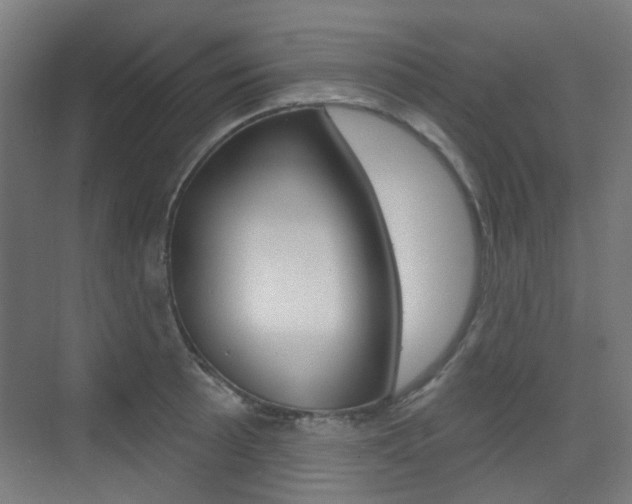 X0000075351089200609080806