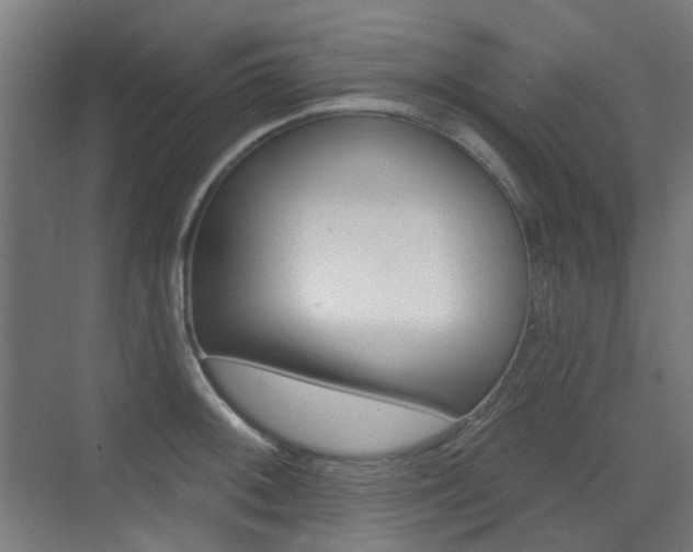 X0000075351092200609080806