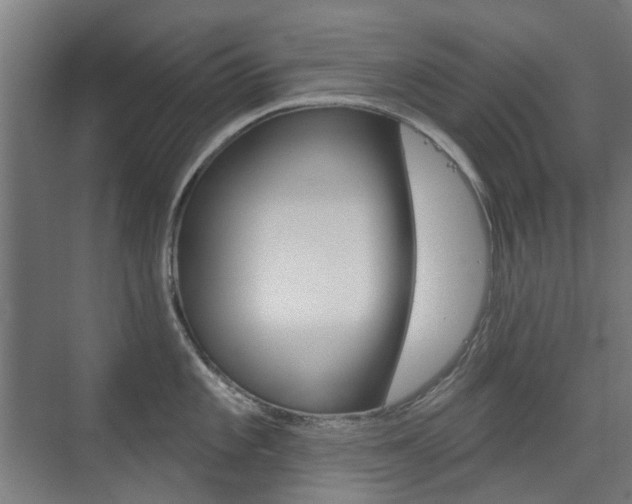 X0000075351101200609080806