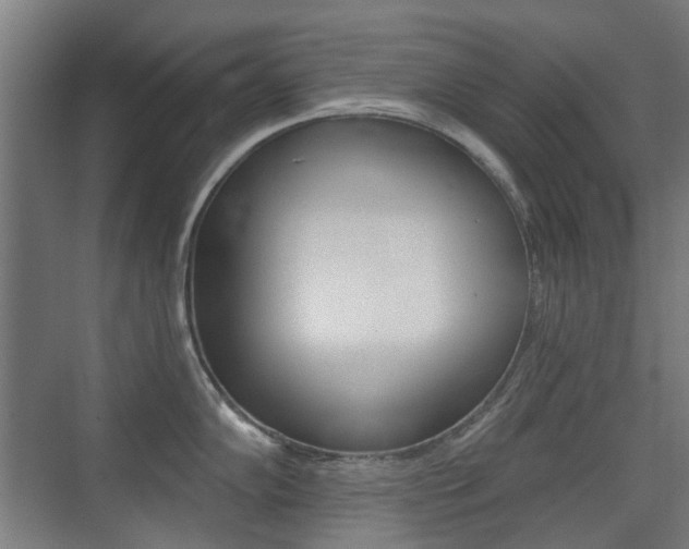 X0000075351102200609080806