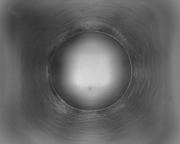 X0000075351108200609080805