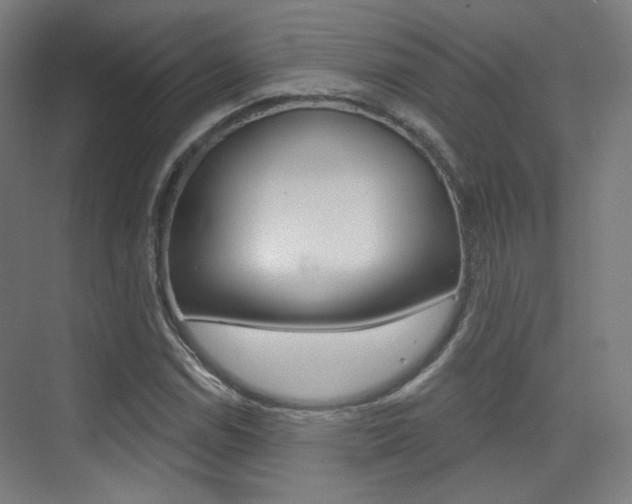 X0000075351114200609080805