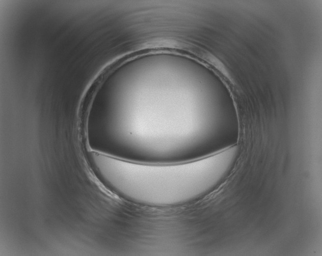 X0000075351116200609080805