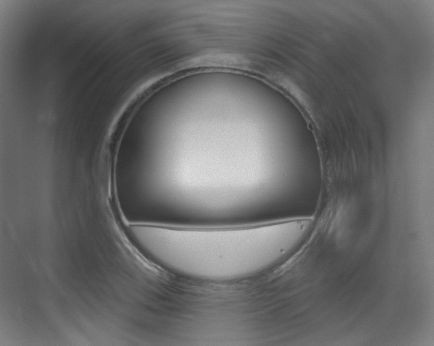 X0000075351123200609080805