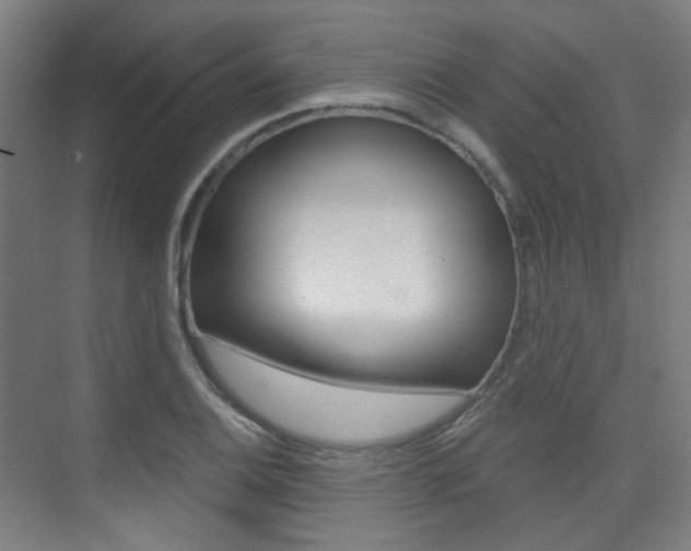X0000075351124200609080806