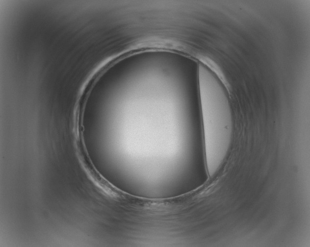 X0000075351128200609080806