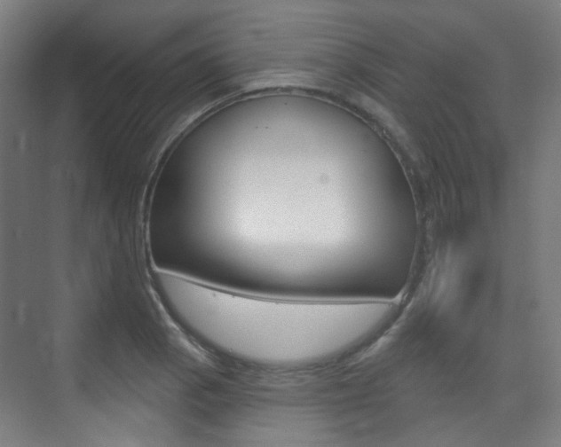 X0000075351129200609080806