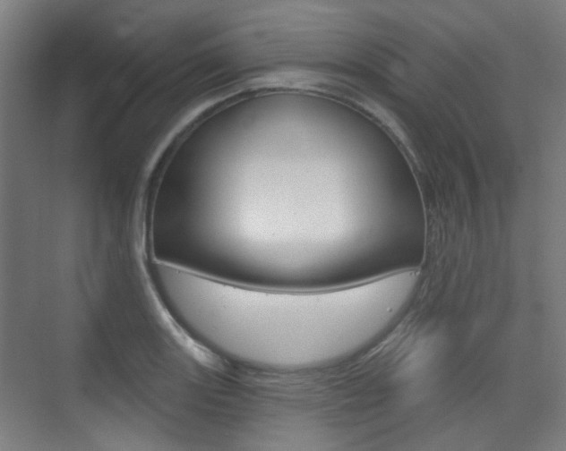 X0000075351131200609080806