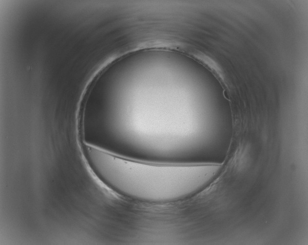 X0000075351135200609080806