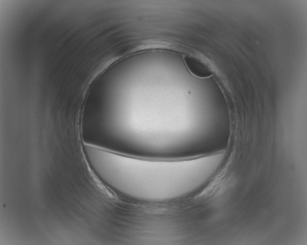 X0000075351137200609080806