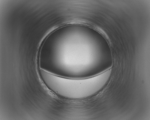 X0000075351138200609080806
