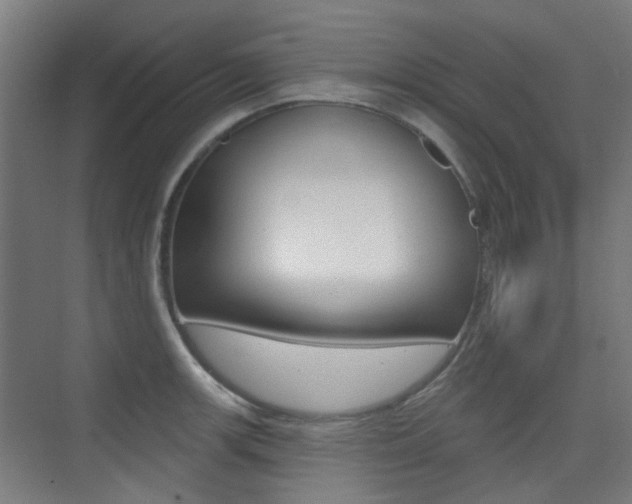X0000075351139200609080806