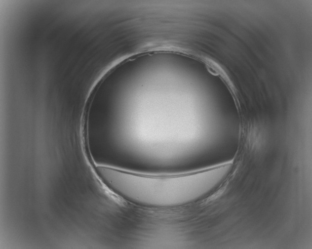 X0000075351149200609080806