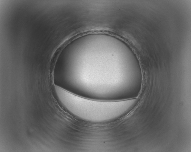 X0000075351165200609080805