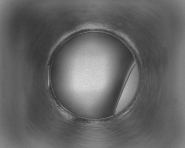 X0000075351175200609080805