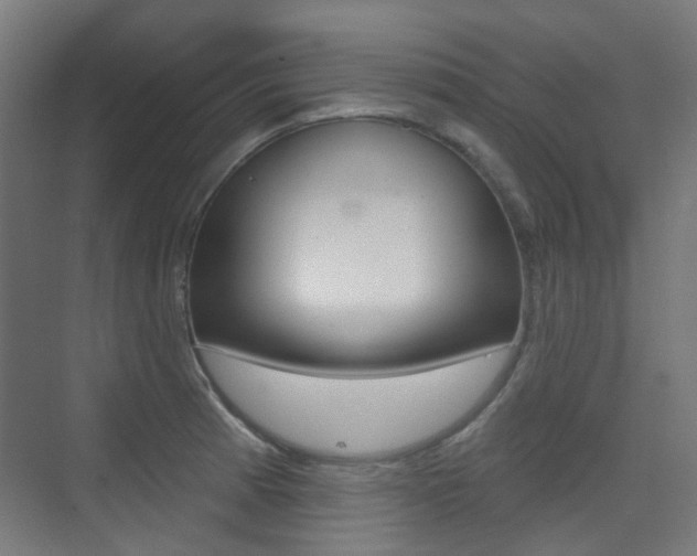 X0000075351185200609080805