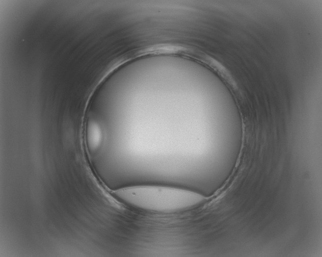 X0000075351186200609080805