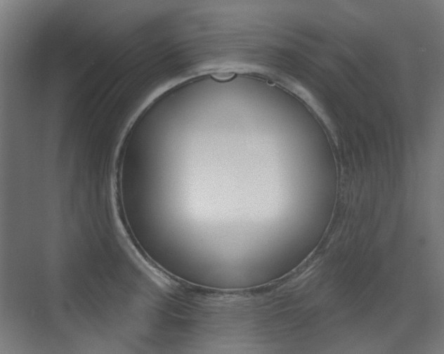 X0000075351187200609080805