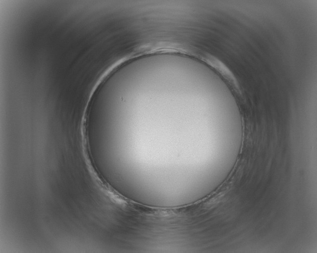 X0000075351190200609080805