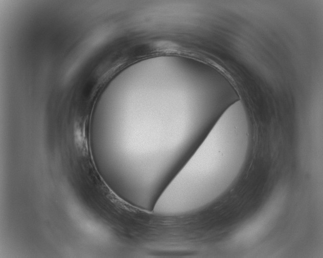 X0000075351198200609080804