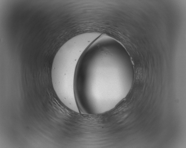 X0000075351202200609080804