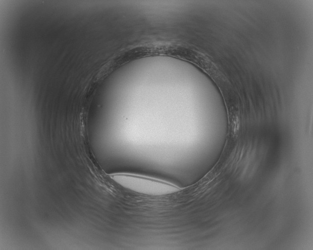 X0000075351204200609080804