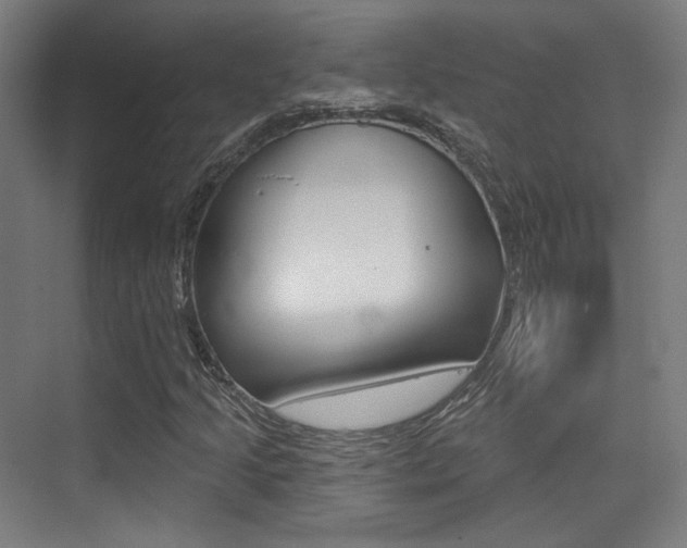 X0000075351205200609080804