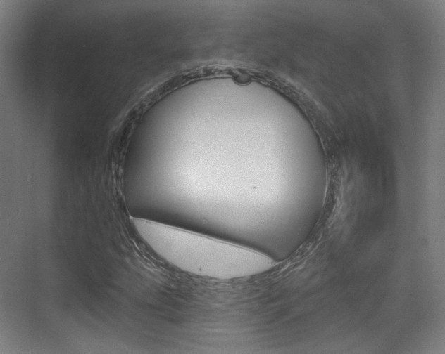 X0000075351207200609080804