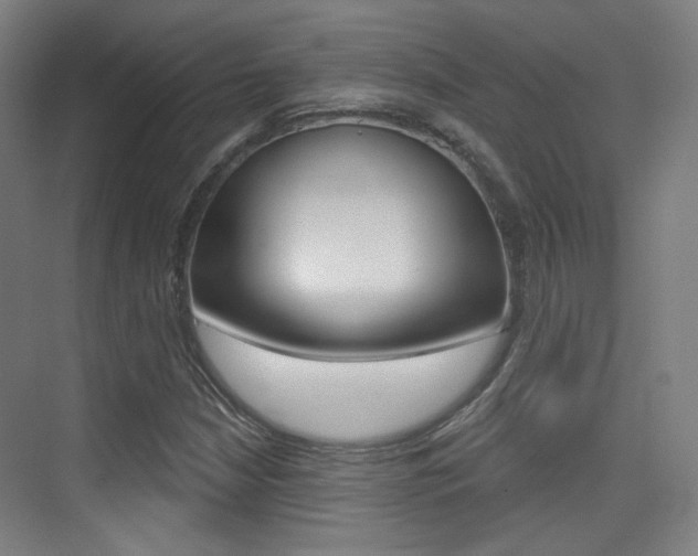 X0000075351210200609080804