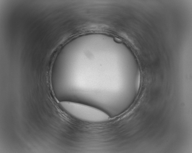 X0000075351211200609080804