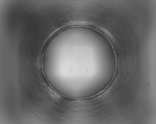 X0000075351212200609080804