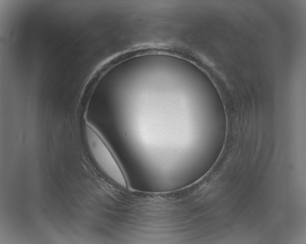X0000075351214200609080804